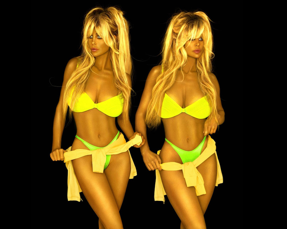 Barbi Twins - Glossy Borderless Photo - Art Photo - ID#0008